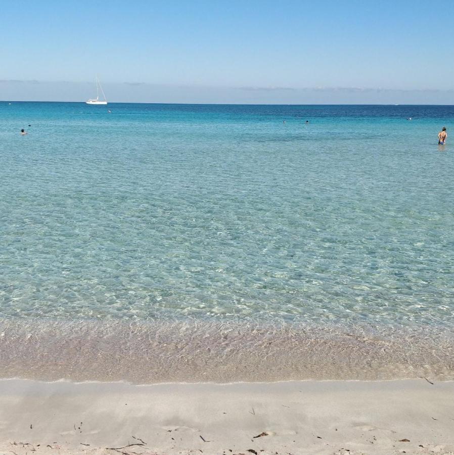 Maria Studios Skiathos المظهر الخارجي الصورة