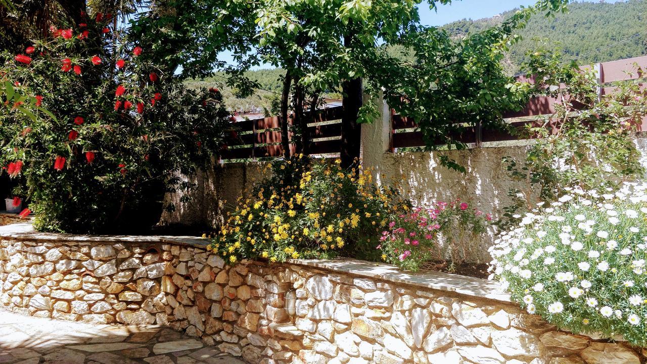Maria Studios Skiathos المظهر الخارجي الصورة