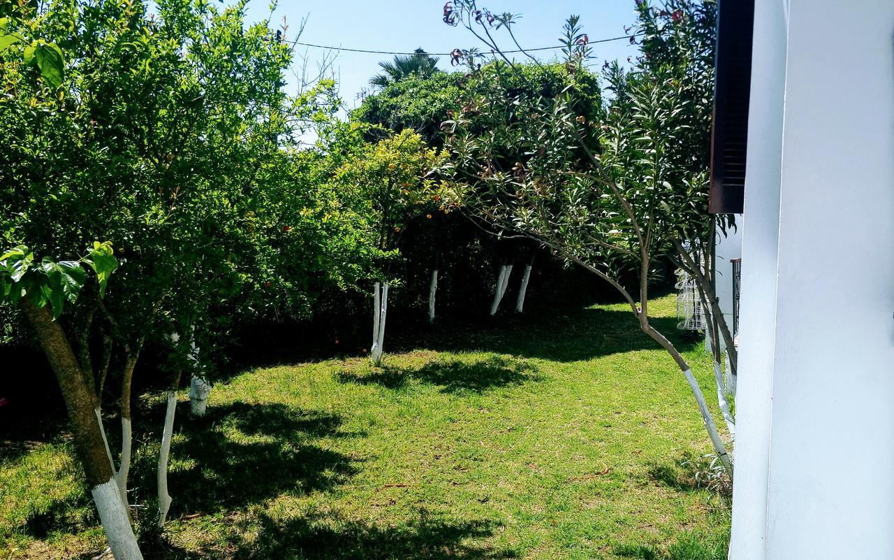 Maria Studios Skiathos المظهر الخارجي الصورة