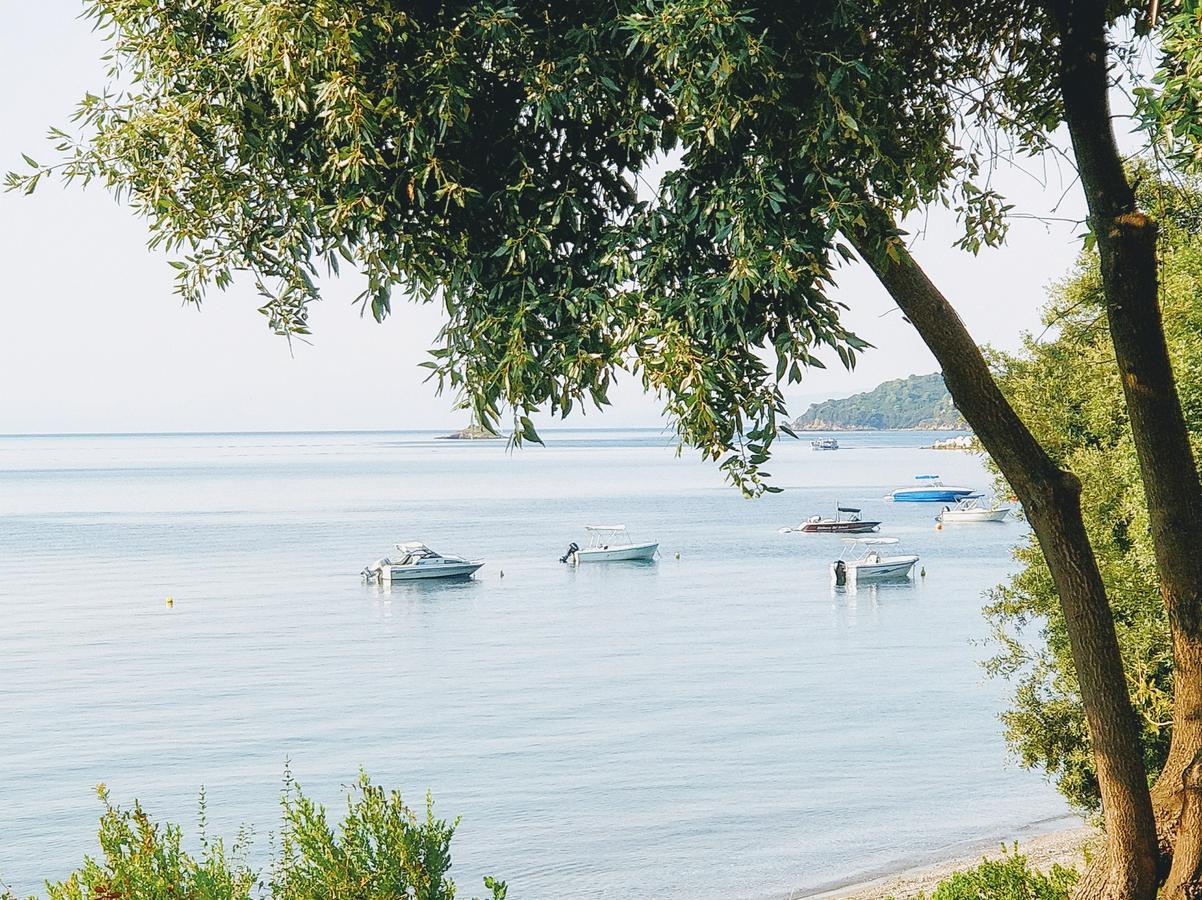 Maria Studios Skiathos المظهر الخارجي الصورة