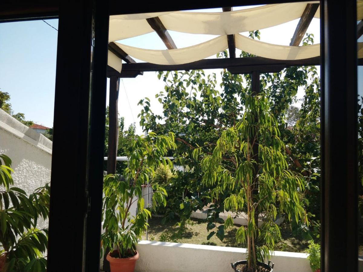 Maria Studios Skiathos المظهر الخارجي الصورة